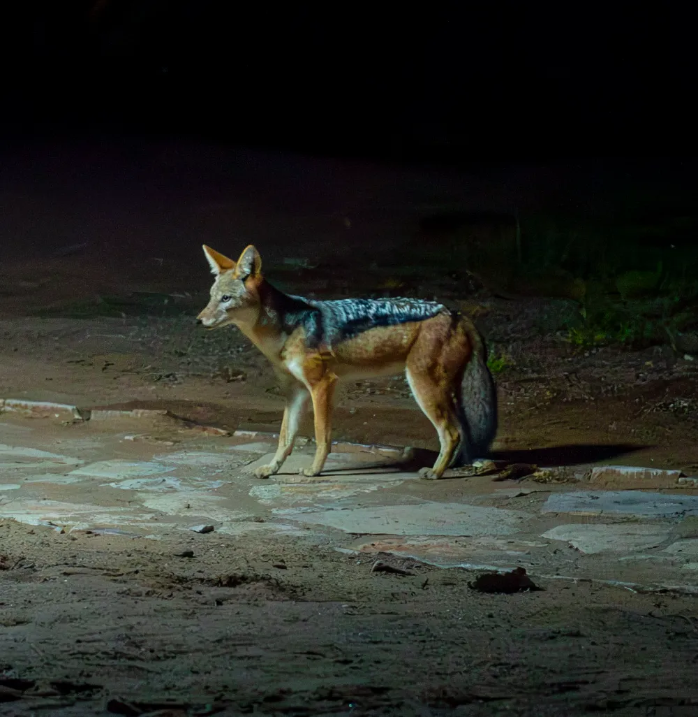 UHP_1457-Verbessert-NR