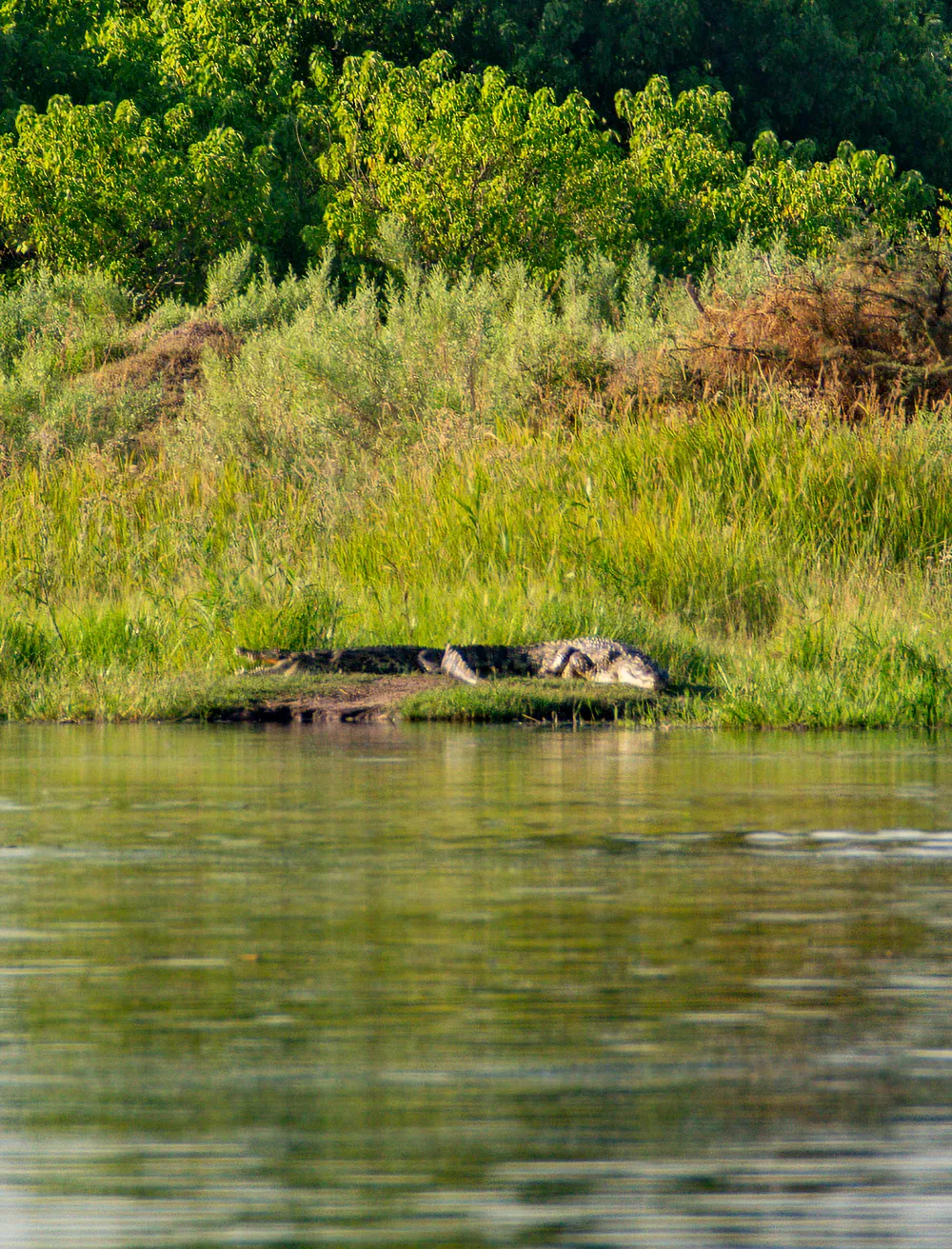 UHP_2963-Verbessert-SR