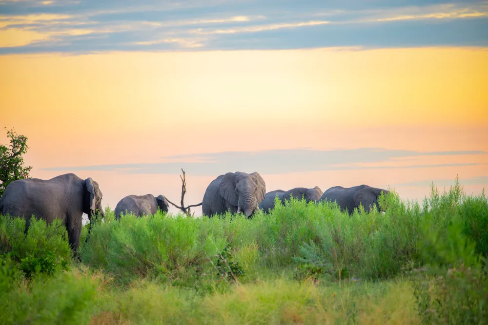 UHP_3132-Verbessert-NR