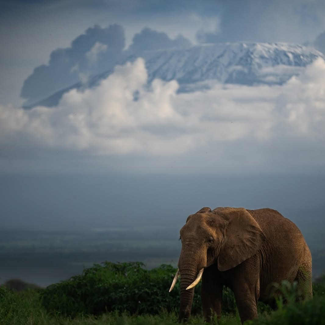 WhatsApp Image 2025-08-15 at 21.32.17_b74a5557