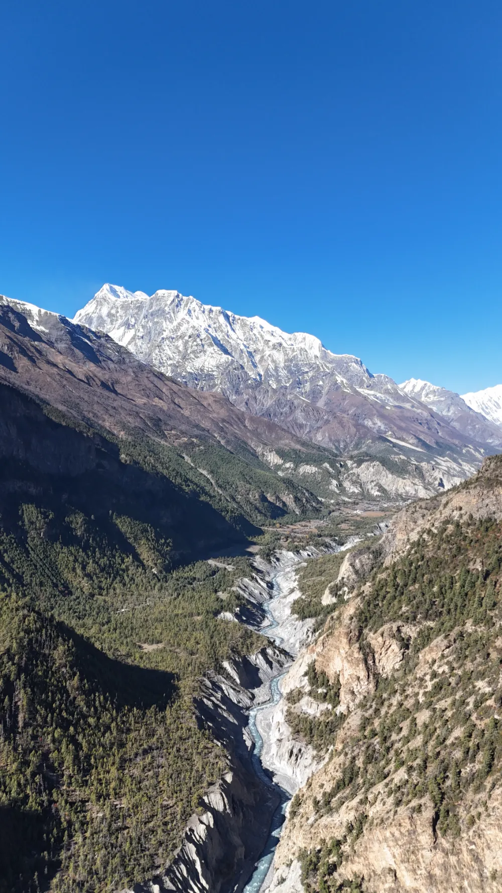 dji_fly_20241027_052318_0052_1730884824127_photo