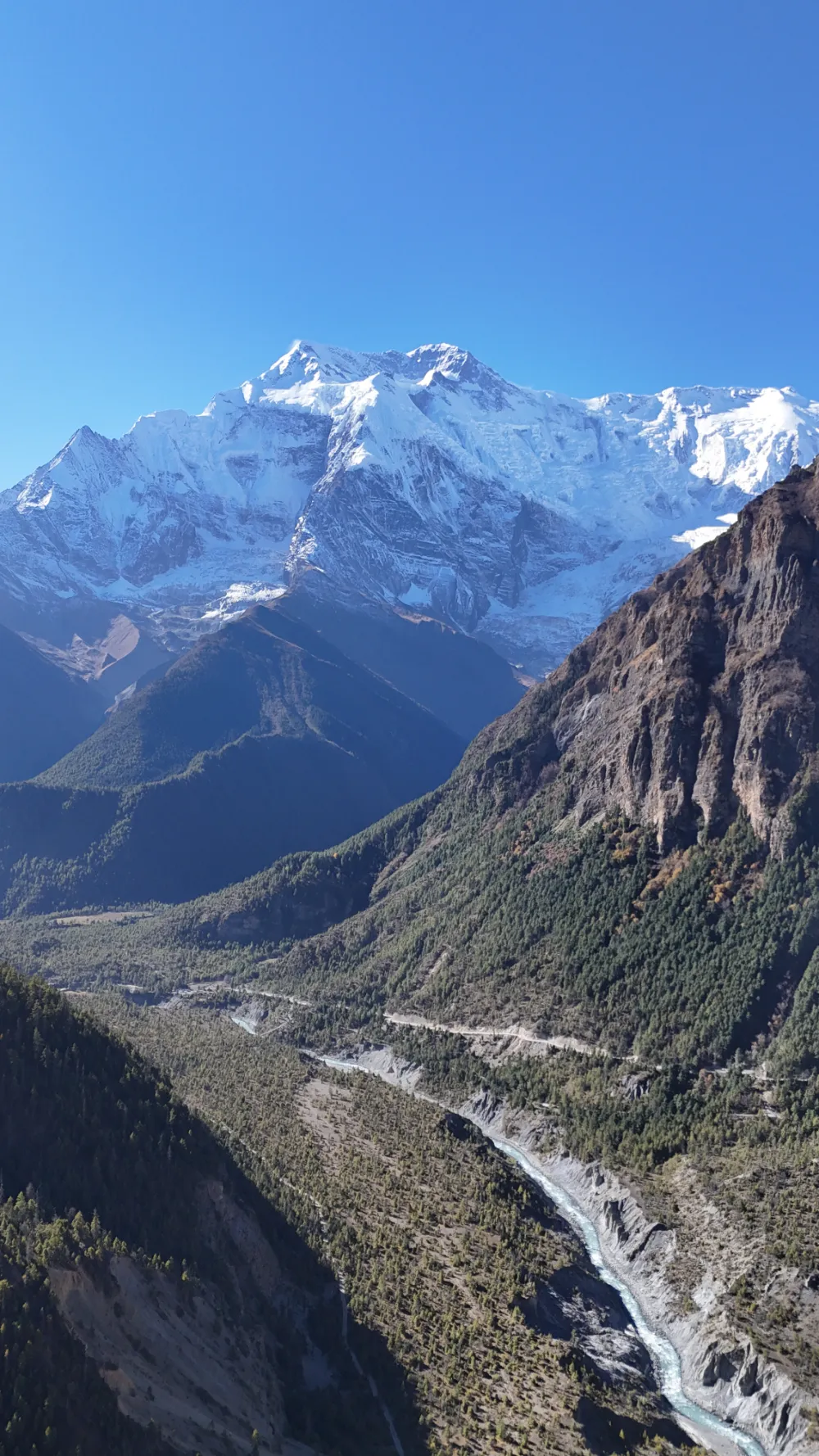 dji_fly_20241027_052324_0053_1730884824175_photo