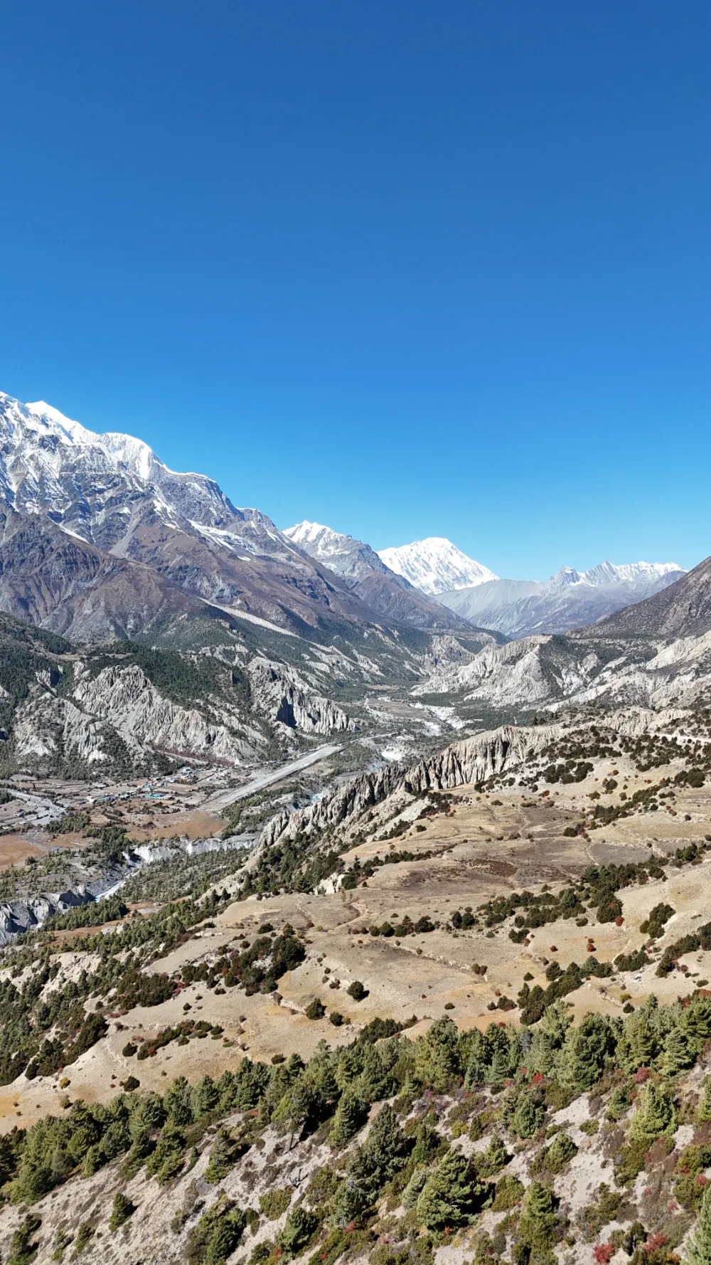 dji_fly_20241027_065548_0063_1730884789646_photo