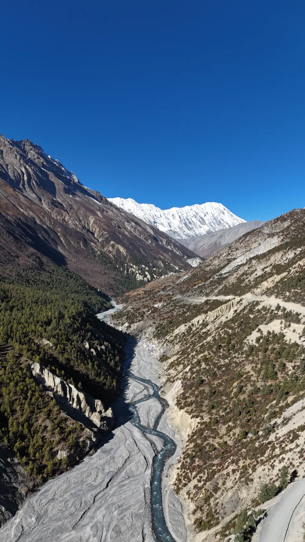 dji_fly_20241028_045504_0080_1730884737856_photo