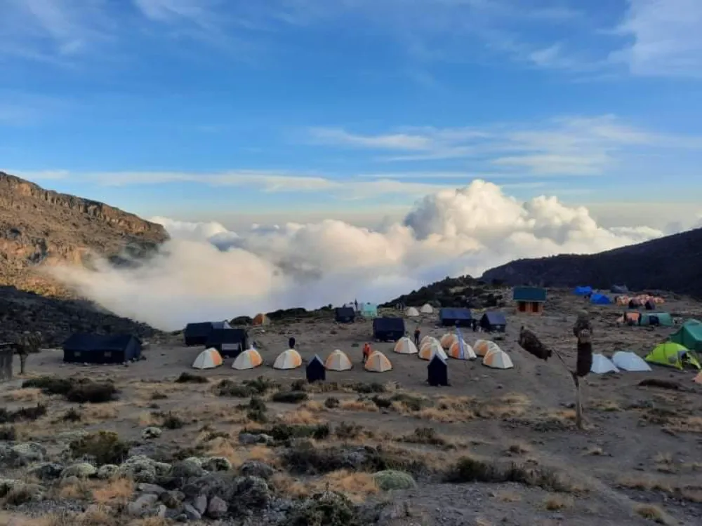 received_592656068595257